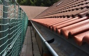 Grundschule-Heringsdorf-Bautagebuch-15-300×300-1