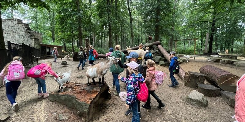 7FAE2494-C8CC-4D40-B930-B3D5D35479C8